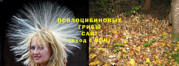 стафф Верхнеуральск