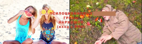a pvp Верея