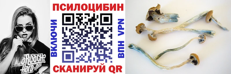 Галлюциногенные грибы Psilocybine cubensis  Кремёнки 
