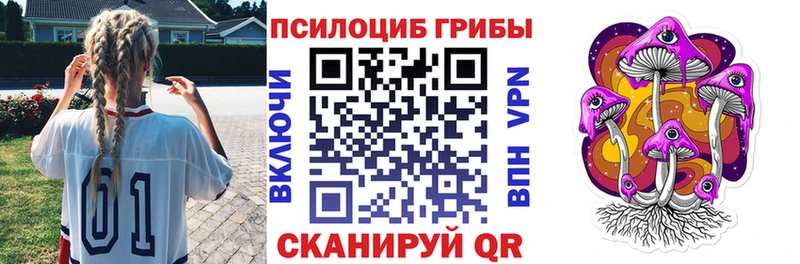 Псилоцибиновые грибы Psilocybine cubensis Кремёнки