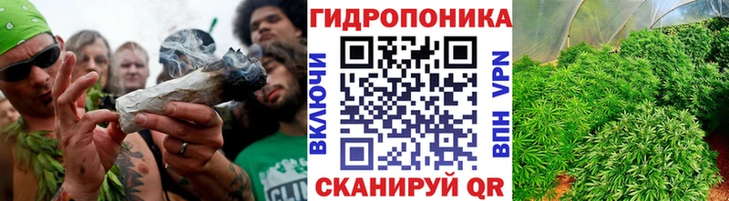 Шишки марихуана марихуана  где купить наркоту  Кремёнки 